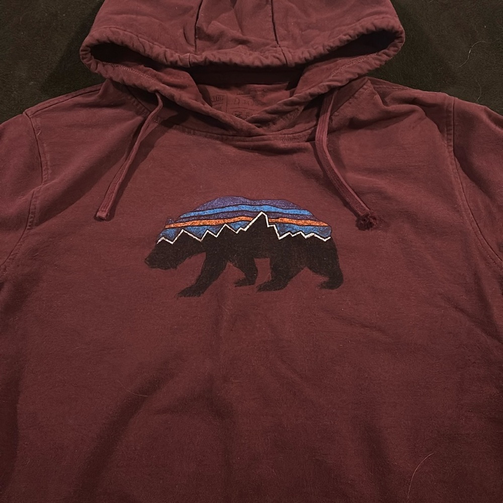 Patagonia Hoodie